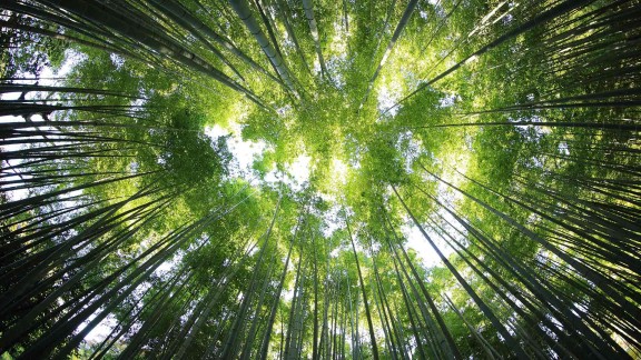 限时免费:24小时自助服务平台与秒赞助手,快速提升抖音互动!